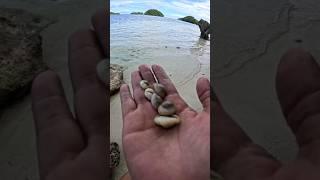 SO PRETTY TO MAKE BAIT!PALAU ISLANDS#palau #micronesia