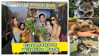 Caversham Wildlife Park | Perth Western Australia