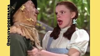 The wizard of oz if you only had a brain