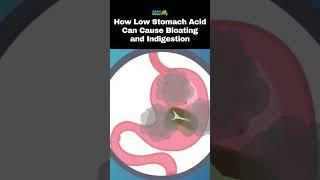 How Low Stomach Acid Can Cause Bloating and Indigestion