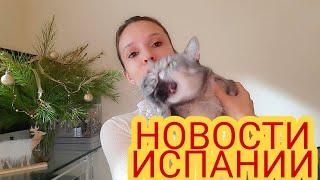 ЕЖЕДНЕВНЫЕ НОВОСТИ ИСПАНИИ 01.01.2021 #испания #сегодня #новости #последние #ограничения #праздники