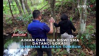 Momen Aiman Witjaksono Telusuri Hutan Lokasi Tanaman Bajakah Tumbuh