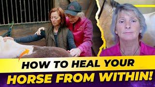 Healing Horses Inside and Out || Emotion Code Insights || Holistic Horseworks