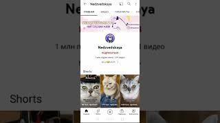 Юбилей на канале Nedzvedskaya#Shorts #ЮТУБНОВОСТИ