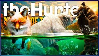 I Hunted Yukon for a WHOLE WEEK & This is What I Found! - the Hunter Call of the Wild