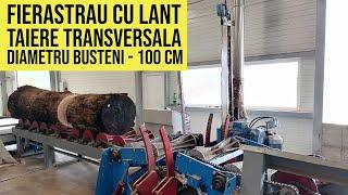 Linie de retezat busteni diametru mare (100 cm) - fierastrau cu lant pentru taiere transversala