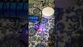 Alexa voice control system #alexa @technophile