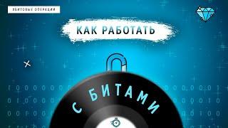 КАК РАБОТАТЬ С БИТАМИ | ОСНОВЫ ПРОГРАММИРОВАНИЯ