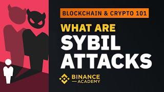 What are Sybil Attacks｜Explained For Beginners