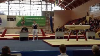 Gogotov Dmitriy - PH - Russian Championships 2013 - CIII