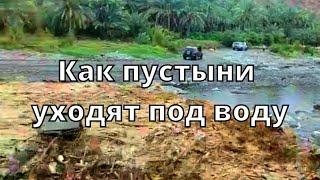 ТОП 10  Самые захватывающие внезапные НАВОДНЕНИЯ в пустыне Оман Снятые на Камеру 2022.