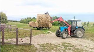 Начали завозить сено/Закупились мёдом на год вперёд