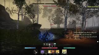 ESO, Leeching plate & Hatchling's Shell, Templar.