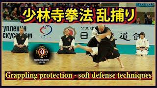 Grappling protection,demonstration Shorinji Kempo soft defense(juho) techniques. 少林寺拳法 演武 少林寺拳法 乱捕り