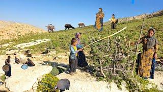 Nomadic Life: Daily Life of Nomadic Girls | Building a Goat Shelter Nomad Style 