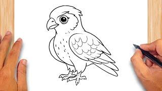 How to draw Cute Falcon