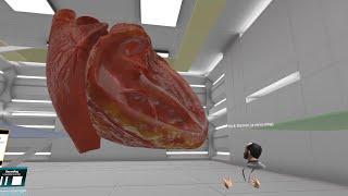 Anatomy of the Heart: VR Experience