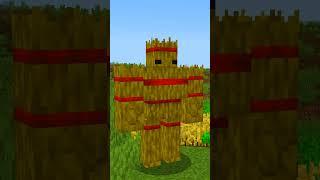 EL NUEVO GOLEM DE Minecraft 