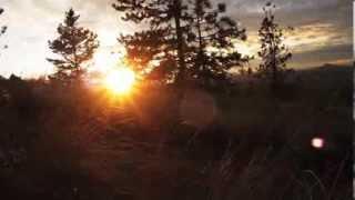 Maple Leaf Mountain Bike Promo