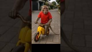 M0nyet naik motor #funny #ai #lucu #monyet