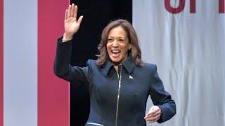 'Not what America wants': DNC fundraiser trashes Kamala Harris political comeback