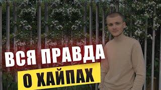 Что такое ХАЙПЫ?/ КАК НА ЭТОМ ЗАРАБОТАТЬ?