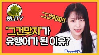 [왔니TV] '그건 맞지'는 왜 소풍왔니의 유행어가 되었을까?