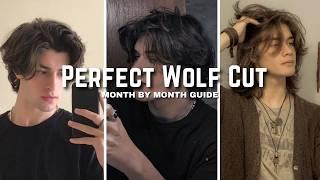 How to GET a Perfect Wolf Cut (Month by Month Process)