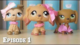 LPS: Half-Hearted Ep 1 (Pilot) | NEW SERIES