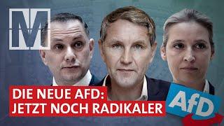 Wahlverlierer AfD: Vormarsch der Rechtsextremisten