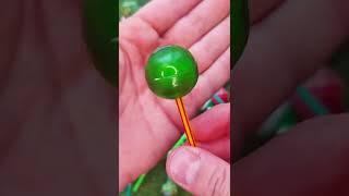 Chupa Chups Green Unboxing ASMR #shorts #asmr #chupachups