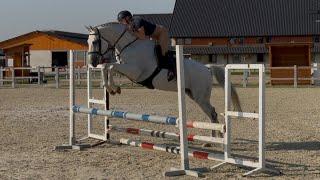 *FANCY HUNTER*CALMAIN, 2013, gelding, by Calido @ANSporthorses