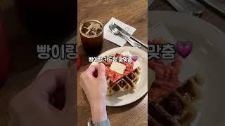 빵덕후가 빵사는법 #고스티 #카드스티커