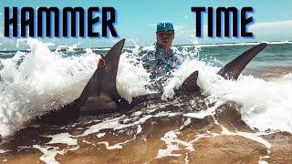 Hammerhead On South Padre Island (Shark Fishing)