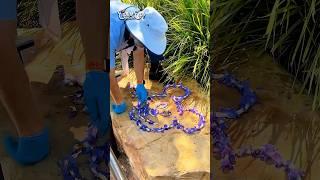 Disney World Cast Member Makes Magic Bloom #waltdisneyworld