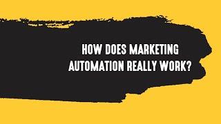 How Does Marketing Automation Really Work?