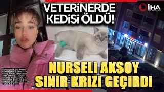 Sosyal Medya Fenomeni Nurseli Aksoy’un Veterinerde Kedisi Öldü