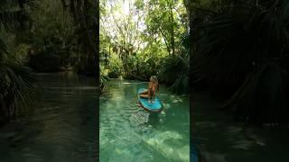 Tropical forest adventures
