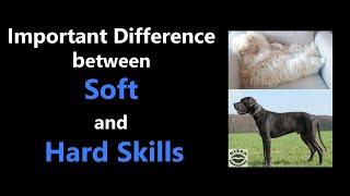 The Real Difference between Soft and Hard Skills and Why It's Important