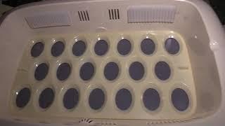 Rcom Pro 20 Automatic Digital Egg Incubator & Hatcher full look & review