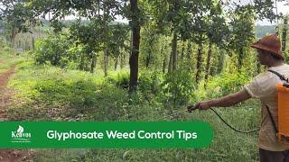 Glyphosate Weed Control Tips | Weed management | Weed control strategies