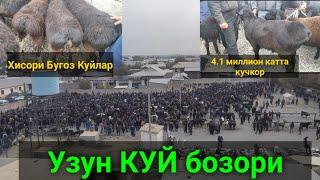 Сурхондарё Узун КУЙ бозори нархлари. 31.10.2021