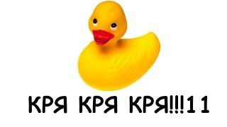 Кря-кря-кря