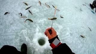 ICE FISHING. Baitless jig. Безмотылка 2016- 17 годов. Приманки, снасти и рыбалка на них.