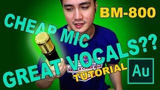 How to produce GREAT VOCALS using a CHEAP MIC and Adobe Audition (BM-800 Condenser Microphone)