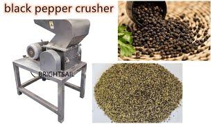 China black pepper crusher black pepper grinding machine-Brightsail