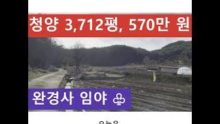 청양 3,712평, 570만 원 (완경사 임야 )