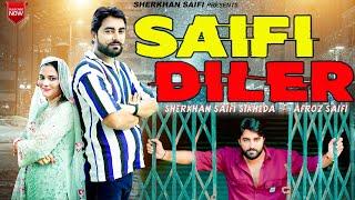 Saifi Diler || Saifi song || Shere Khan Saifi Sikheda || Afroz Saifi || New song 2024