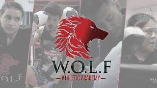 @WOLF Academy