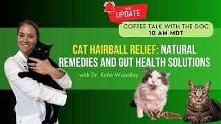 Cat Hairball Relief: Natural Remedies and Gut Health Solutions - Holistic Vet Advice